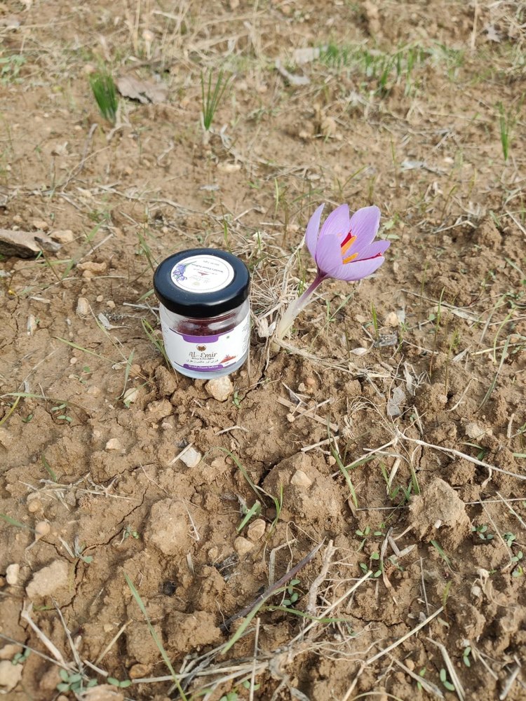 Saffron 250, For Food, Packaging Type: Packet