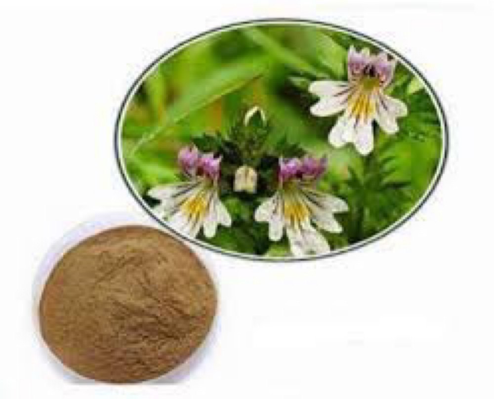 Eyebright Herb Extract, Packaging Type: HDPE drum, Polybag, Packaging Size: 1KG To 50 KG