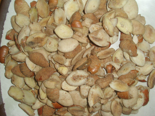 Ukwa African Breadfruit African Mango Seed