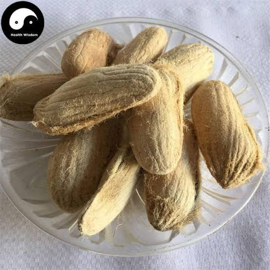 Mango Seed