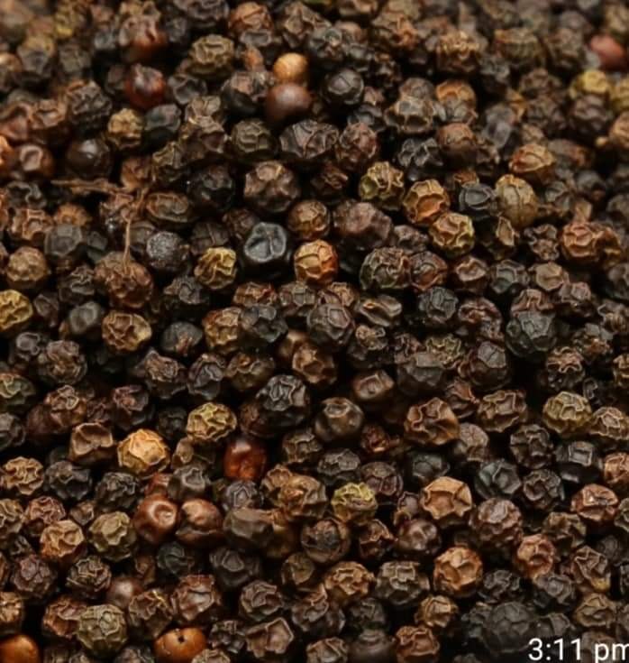 CRONUS Black Pepper Seeds Kerala