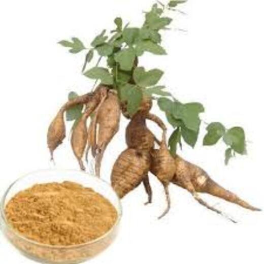 Kudzu Extract Powder