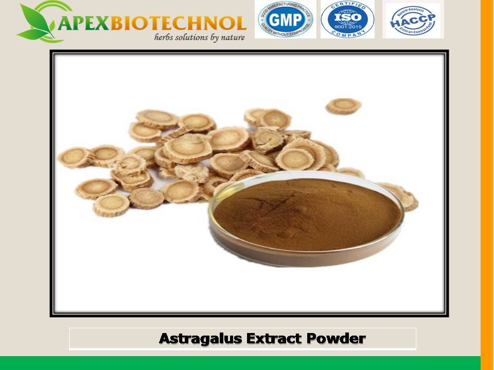 Apex Biotechnol Astragalus Extract, Pack Size: 25 Kg, Packaging Type: Food Grade Hdpe Drum