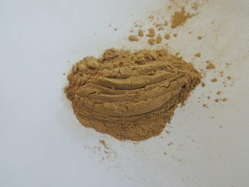 Brown SHREEDHA Astragalus Root Extract Powder, Packaging Size: 5kg To 50 Kg, Packaging Type: Hdpe Drum Aluminium Packing