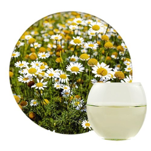 Chamomile Extract, Packaging Type: Hdpe Drum, Pack Size: 10 Kg To 25 Kg