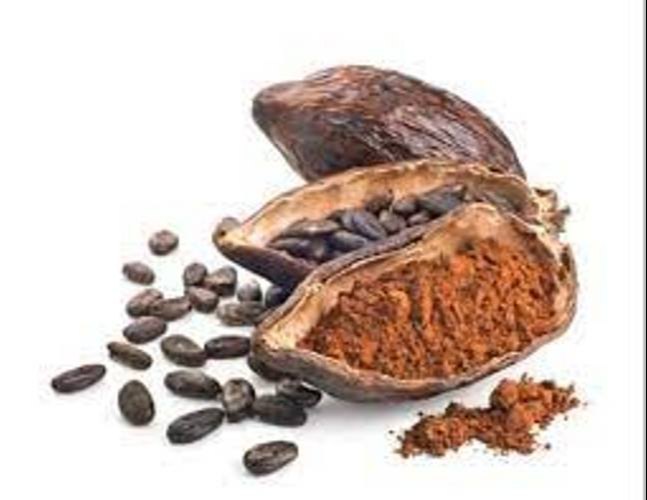 Cocoa Husk, Packaging Type: HDPE drum, Polybag, Packaging Size: 1 KG To 50 KG