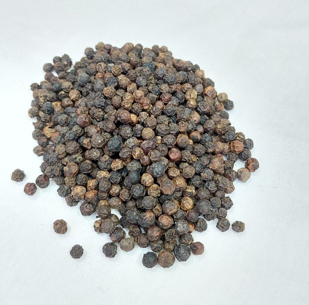 Black Pepper Seeds, Packaging Type: Loose