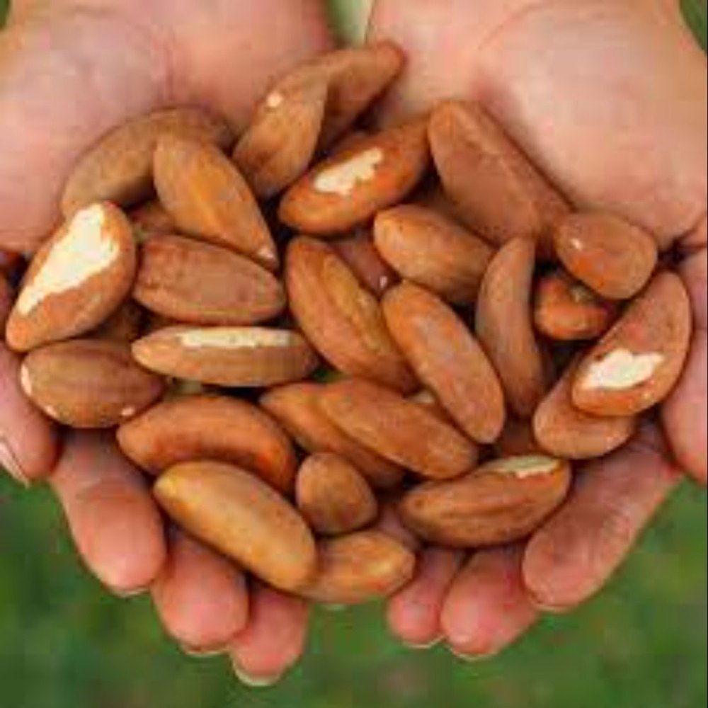 Raw MACE AND CARDAMOMS - NUTMEG, Packaging Type: PP Bag, Packaging Size: Standard