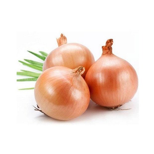 Onion Extract, Packaging Type: Hdpe Drum, Packaging Size: 10 To 25 Kg