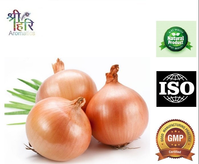 Onion Extract, Packaging Type: Bottle