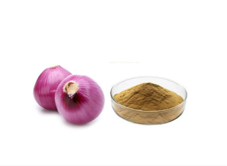Onion Extract