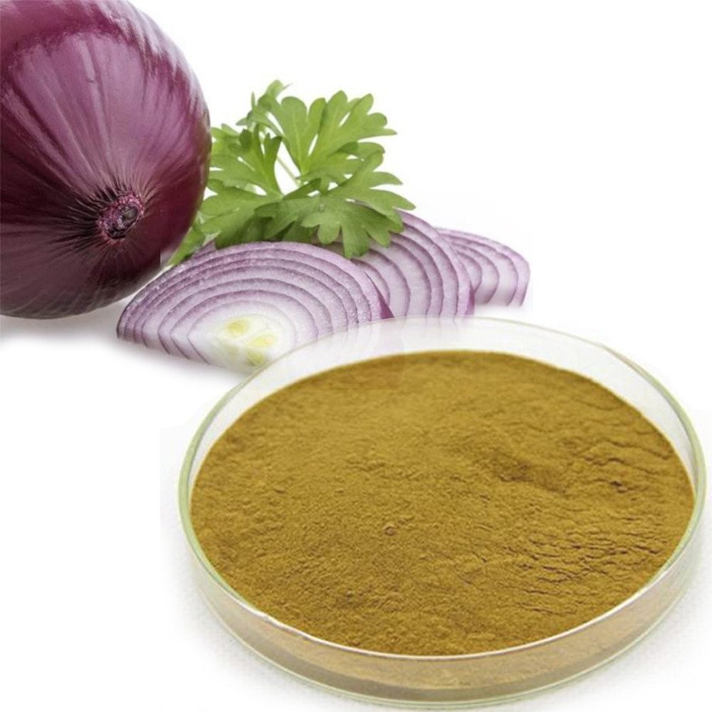 Onion Dry Extract Powder, Packaging Type: Drum