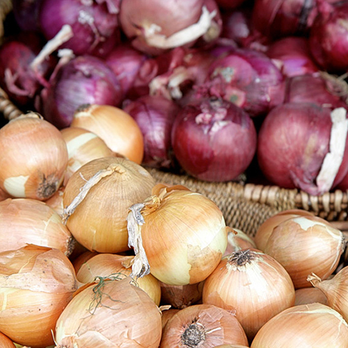 Navchetana Kendra Onion Extract, Pack Size: 200gram, Packaging Type: Pouch