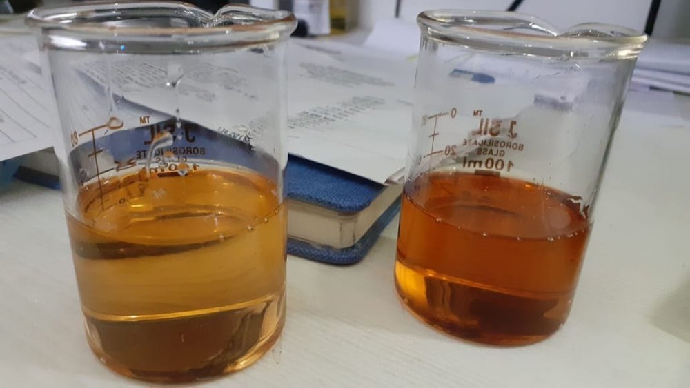 Cucumber Fruit Extract