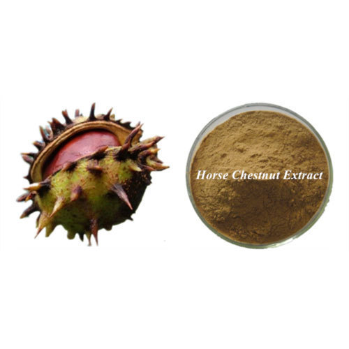 Horse Chestnut Extract, Pack Size: 5 Kg
