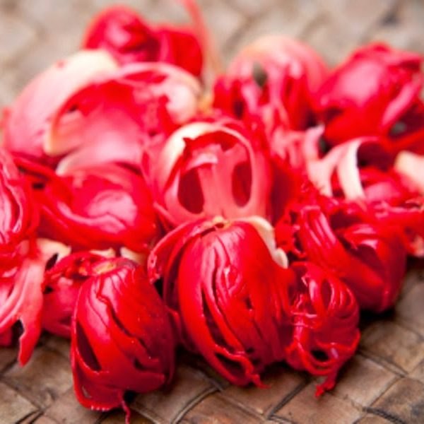 Mace (jathi Pathri)