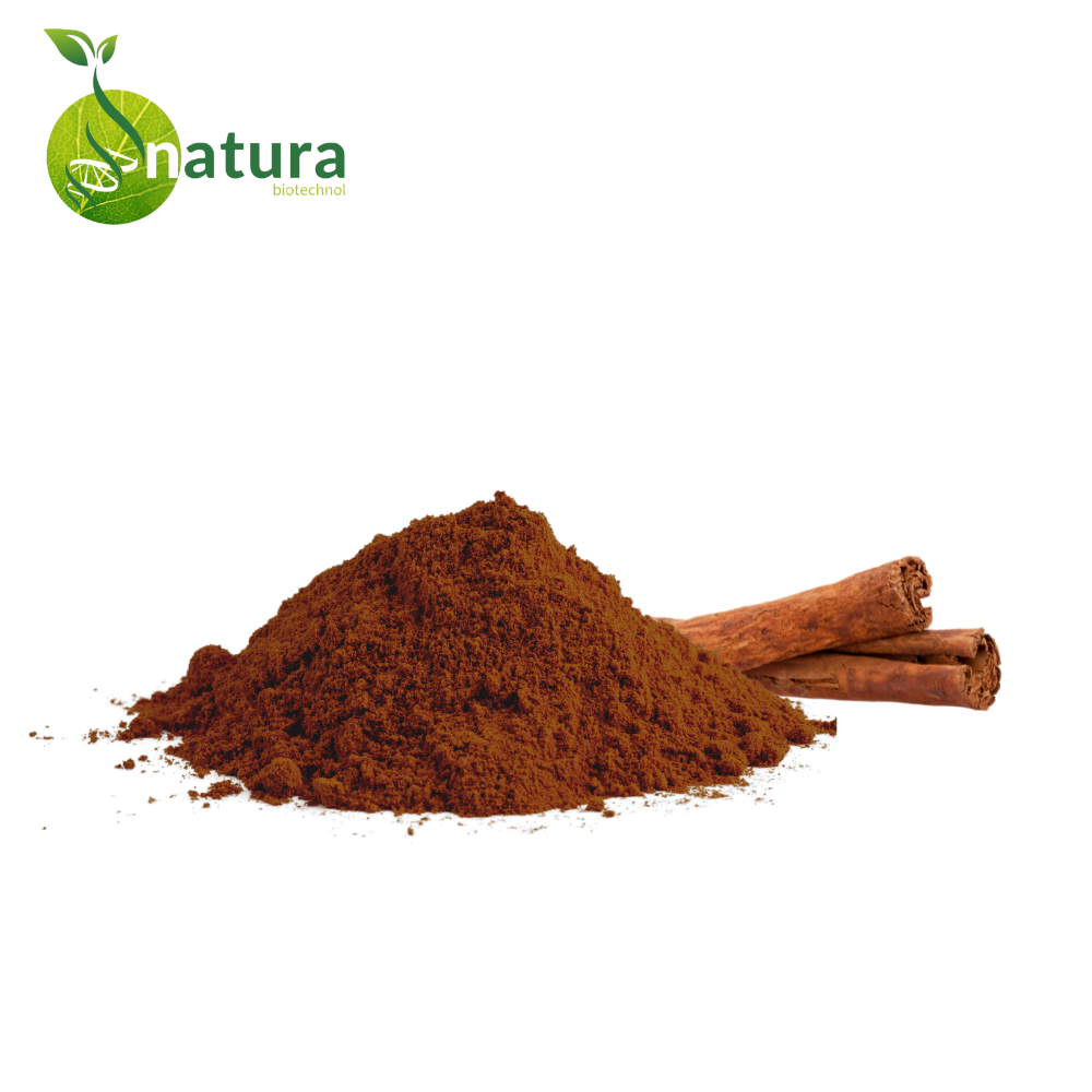 Natura Cinnamon Extract, Packaging Type: Packet, Packaging Size: 1 kg