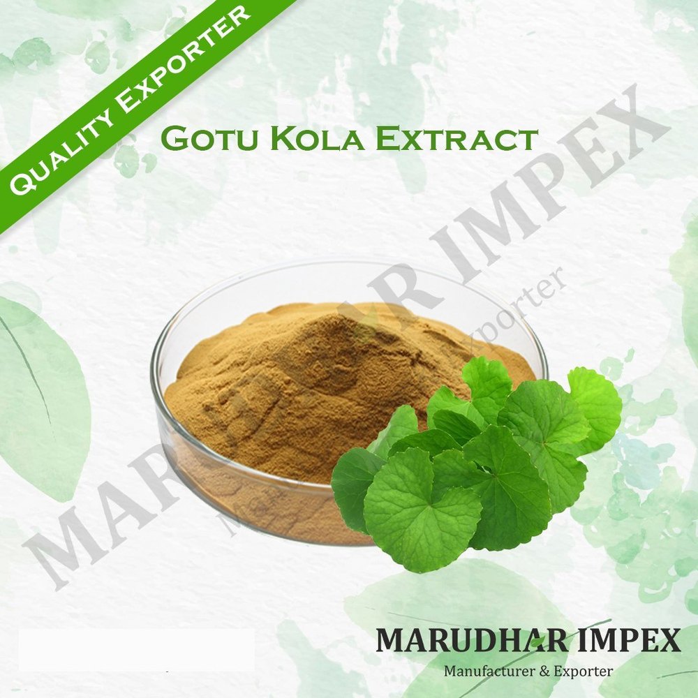 Gotu Kola Herbal Extract