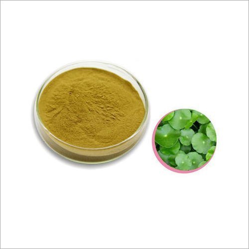 Centella Asiatica Extract, Packaging Type: Drum, Packaging Size: 1-25kg