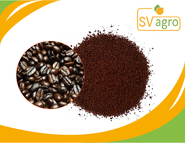 SV Agro Chicory Extract Powder