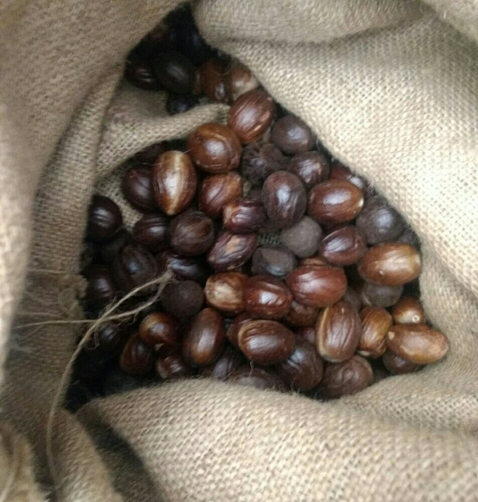 With shell Nutmeg, Packaging Type: Jute Bag, Packaging Size: 50kg Jute Bags