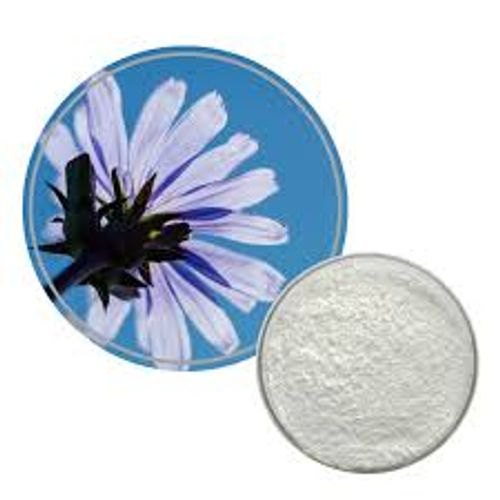Chicory Inulin Extract, Packaging Size: 1 Packet