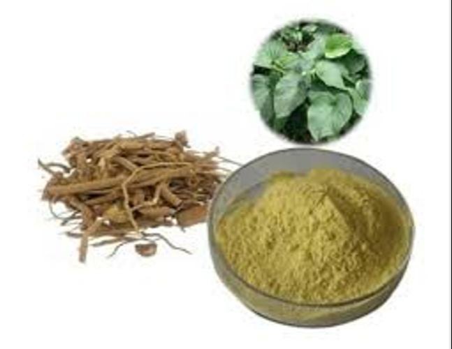 Kava Kava Extarct, Packaging Type: HDPE drum, Polybag, Packaging Size: 1 KG To 50 KG