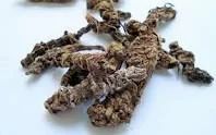 Valeriana Wallichi Extract ( Tagar )
