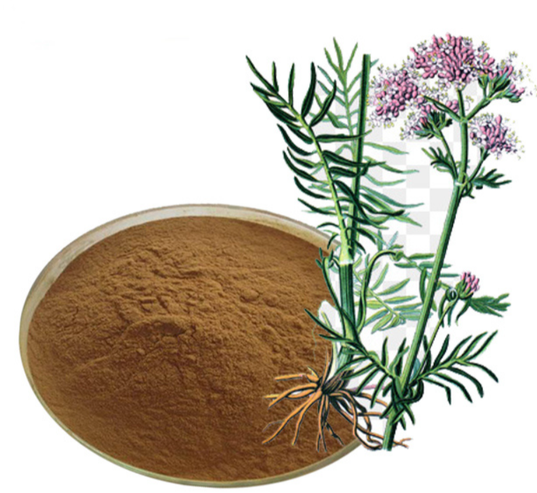 Valerian root extract