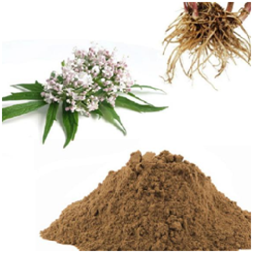 Valerian Extract, Packaging Type: Drum, Packaging Size: 1-25KG