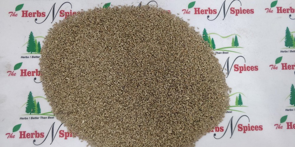 Ajwain Seeds - Bishops Weed