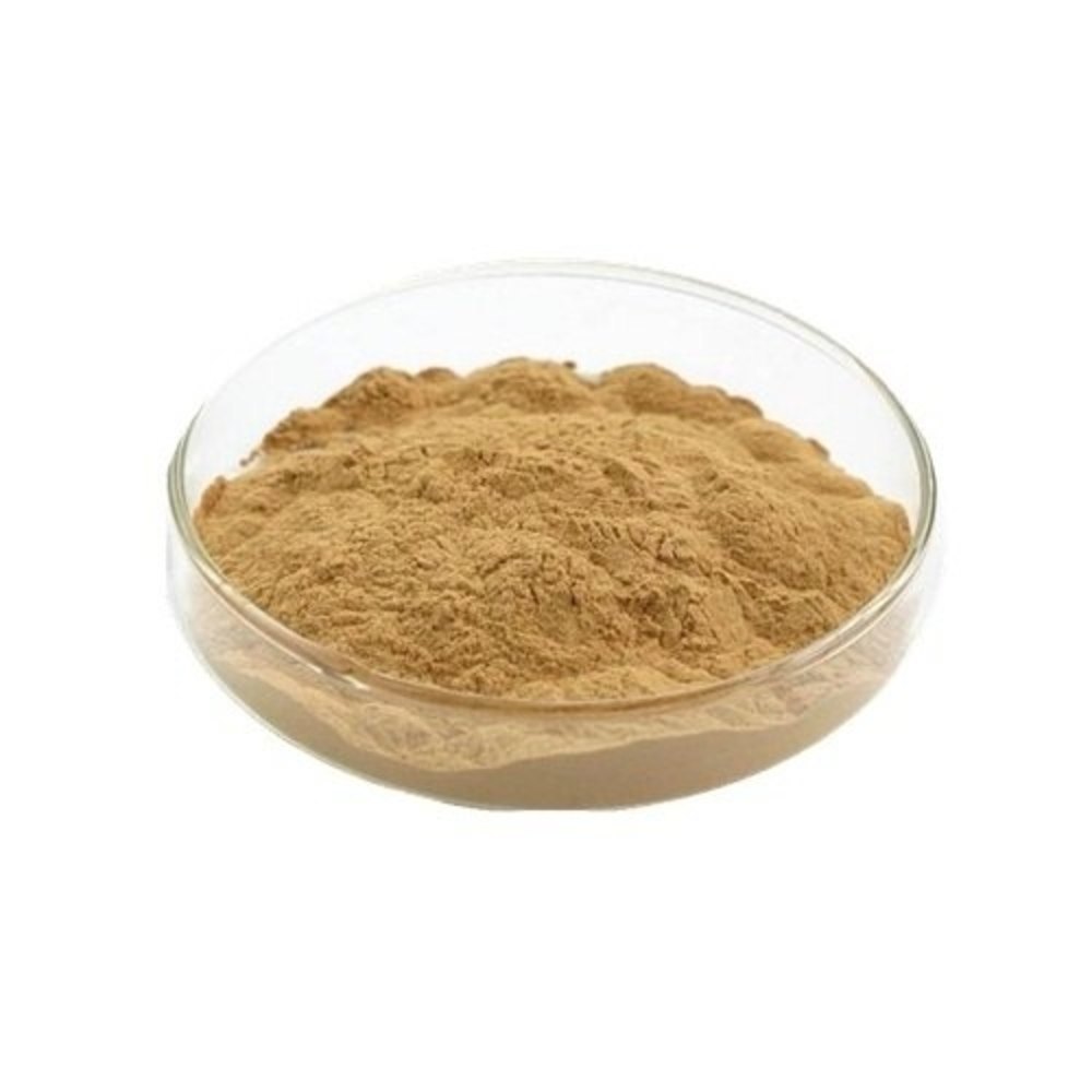 Herbo Nutra Gentian Extract Powder