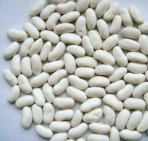 White Kidney Bean Extract, Packaging Size: 25 kg, Saffed Rajma