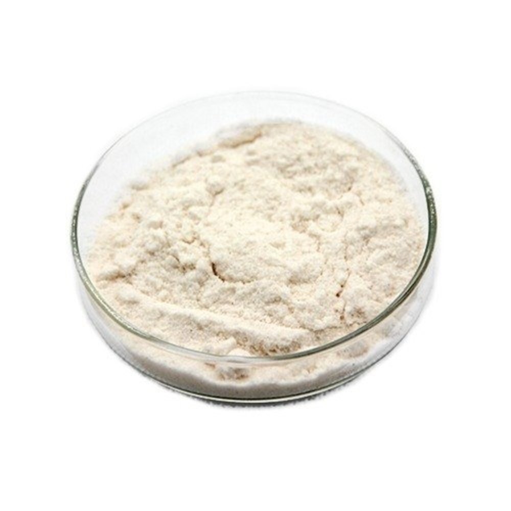 Seed White Kidney Bean Extract, Packaging Size: 5 Kg