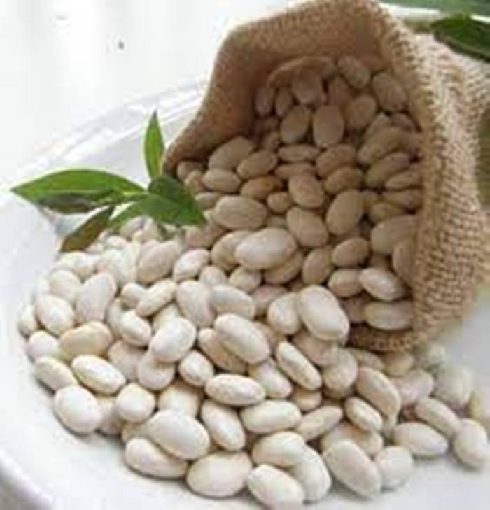 White Kidney Bean Extarct, Packaging Type: HDPE drum, Polybag, Packaging Size: 1 KG To 50 KG