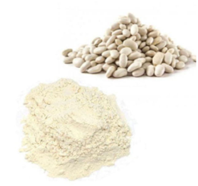 White Kidney Bean Extract