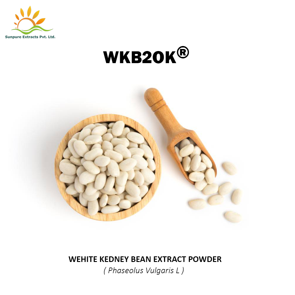 White Kidney Bean Extract, Packaging Type: HDPE DRUM, Packaging Size: 25 KG