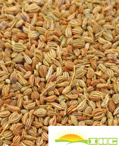 IHC Seeds Ajwain, Dry Place, Grade Available: Grade A