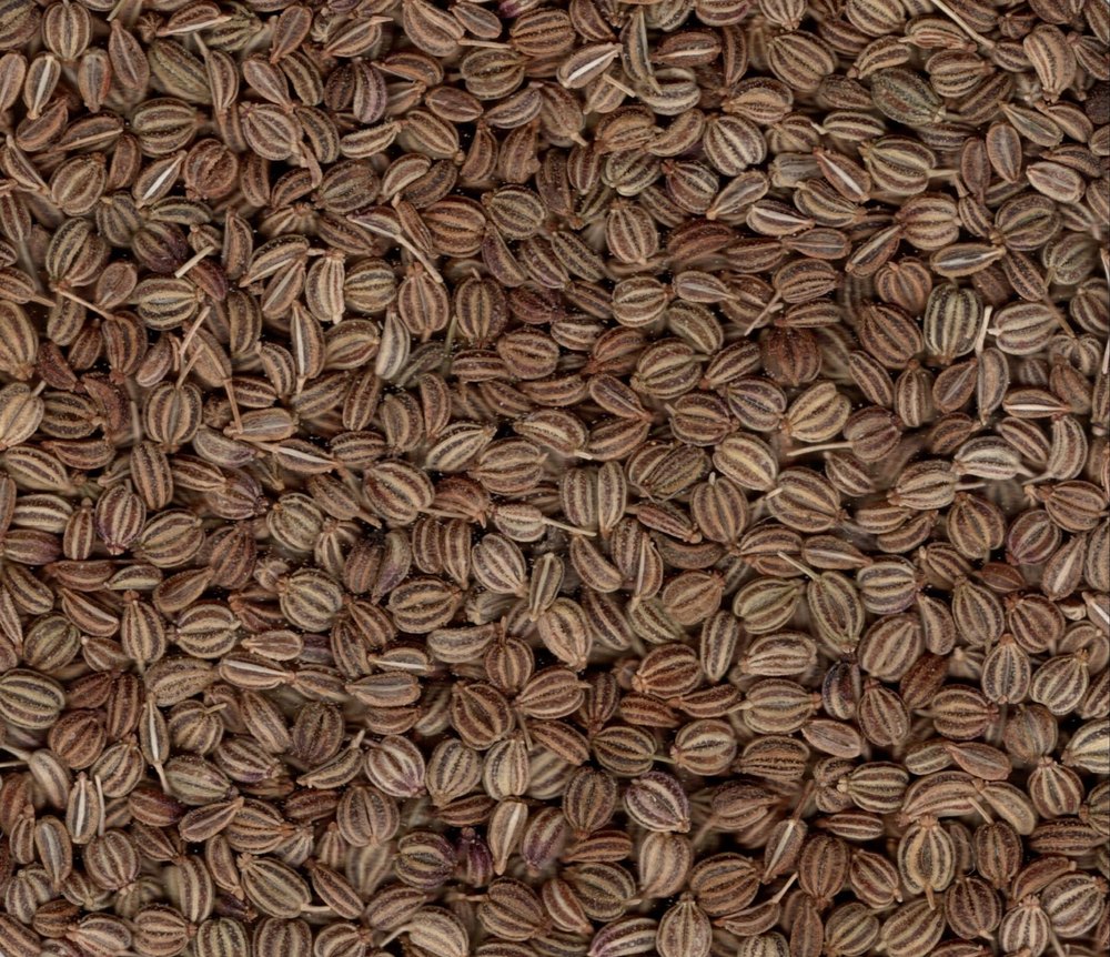 Ajwain Seeds, 50 Kg