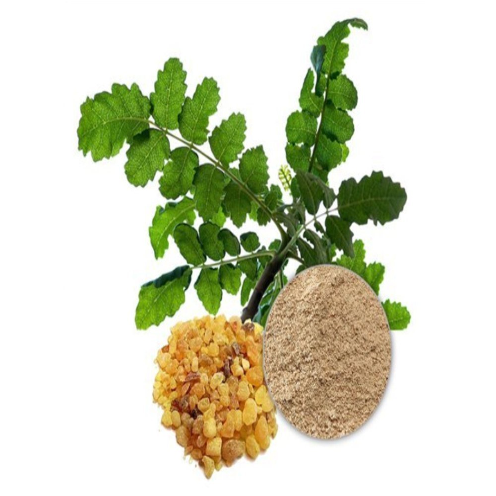 Boswellia Serrata Extract, Packaging Type: Polybag, Packaging Size: 5 kg