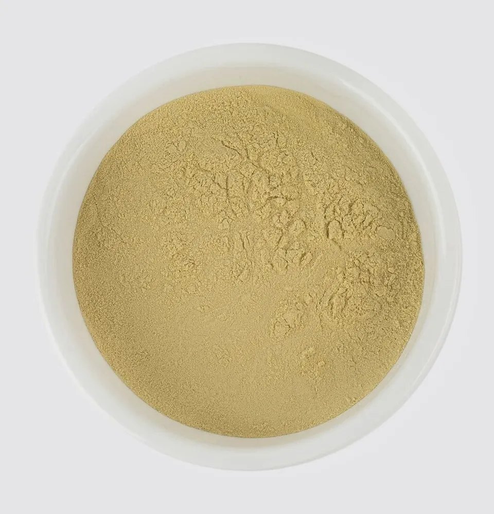 99 % Boswellia Extract Powder