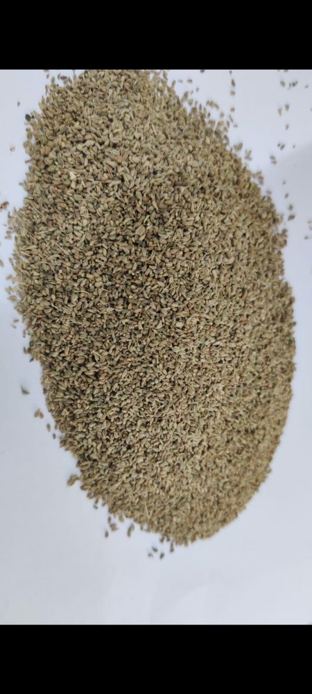 Carom seed, 50 Kg