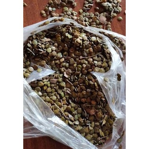 Dried Khair Seeds( Acacia Catechu), Packaging Type: Jute Bag, 30-50 Kg