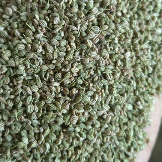 swastik Spices Ajwain Seeds