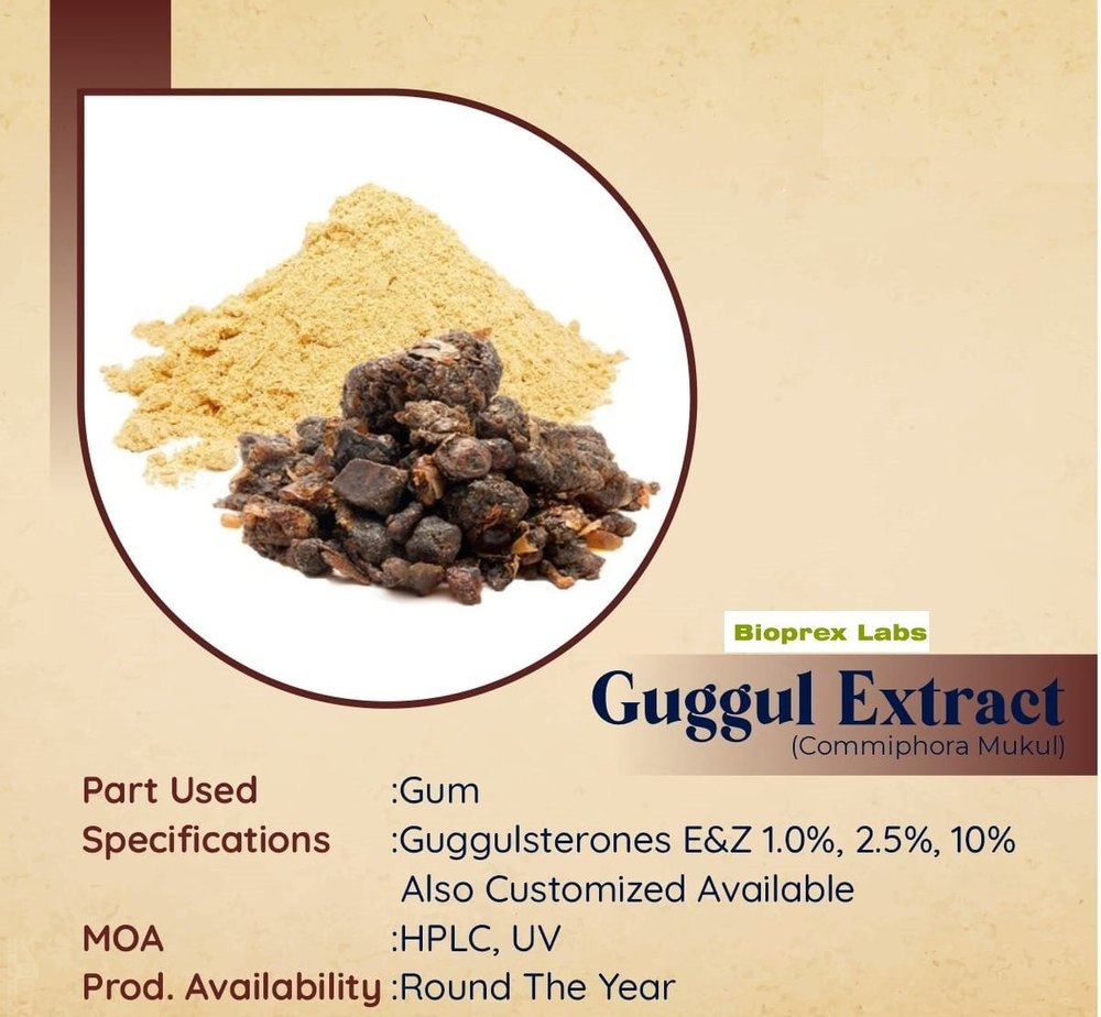Commiphora Guggal 2.5% Guggulsterones, Packaging Size: Drum/Box