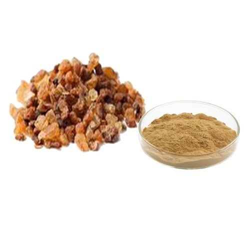 Commiphora Mukul Organic Guggul Extract, Packaging Type: Bag, Packaging Size: 25kg