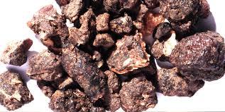 Commiphora Mukul Extract ( Guggal )