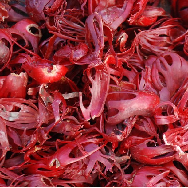 Crimson Red Mace Spice, Packaging Type: Box, Packaging Size: 5 KG