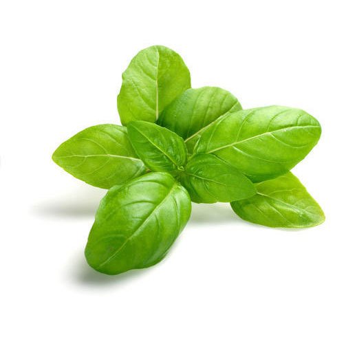 Tulsi Leaf Extract, Packaging Size: 25 Kg, Packaging Type: Packets