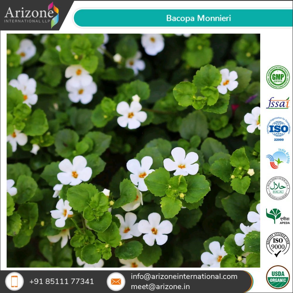 Bacopa Monnieri Extract